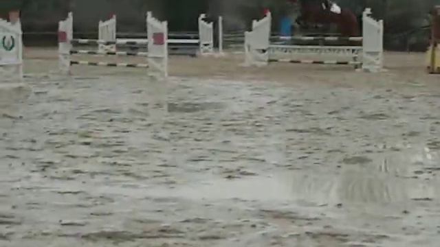 clément et unique смотреть онлайн