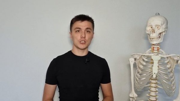 Практическая Анатомия