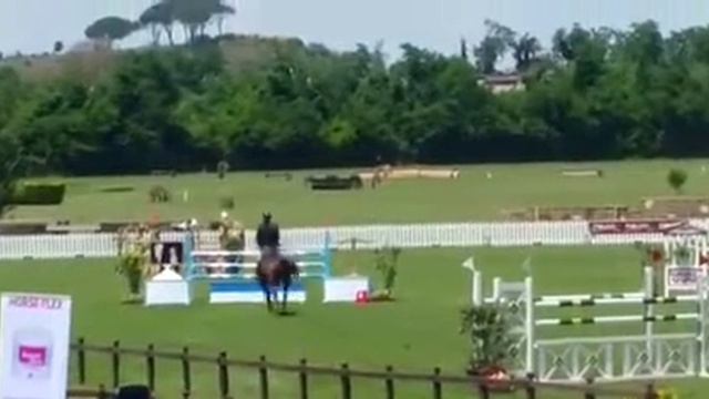 vincenzo cinelli Alexis смотреть онлайн