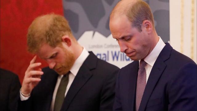 The Real Reason William & Harry Won't Walk Next To Each Other During The Funeral смотреть онлайн