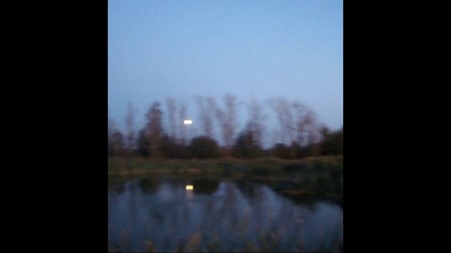 1000027822.mp4 смотреть онлайн