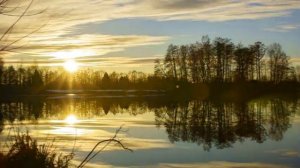 SHOXRUX & SEMA - SO'NGIBORA 2024 | ШОХРУХ & СЭМА - СЎНГИБОРА 2024 | REMIX by XonSaroy Prod