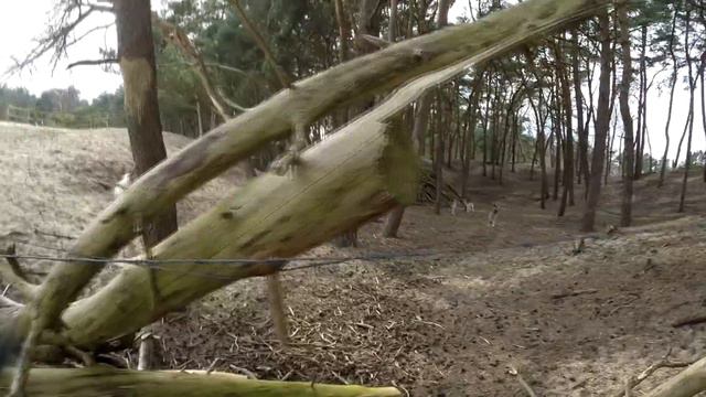 Rick heeft de Veluwse lente in z'n bol смотреть онлайн
