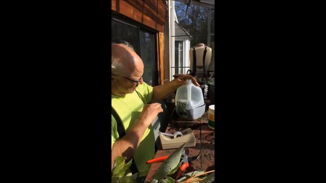 A Poor Mans Way to start trees and shrubs смотреть онлайн