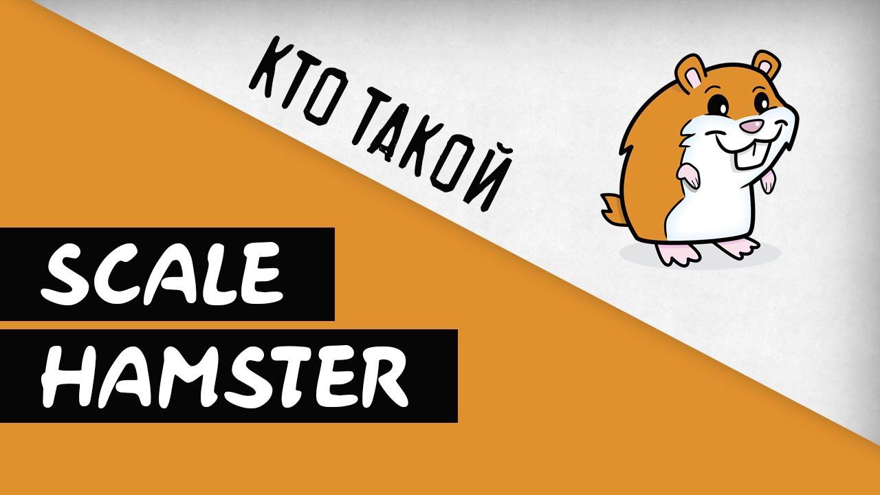 Кто такой Scale Hamster? Канал о стендовом моделизме и коллекционировании