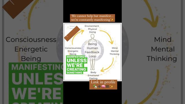 schoolofholisticdesign смотреть онлайн