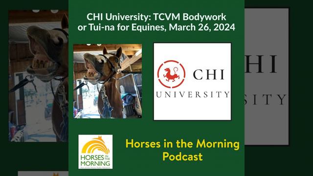 CHI University: TCVM Tui-na or Bodywork for Equines, for March 26, 2024 смотреть онлайн