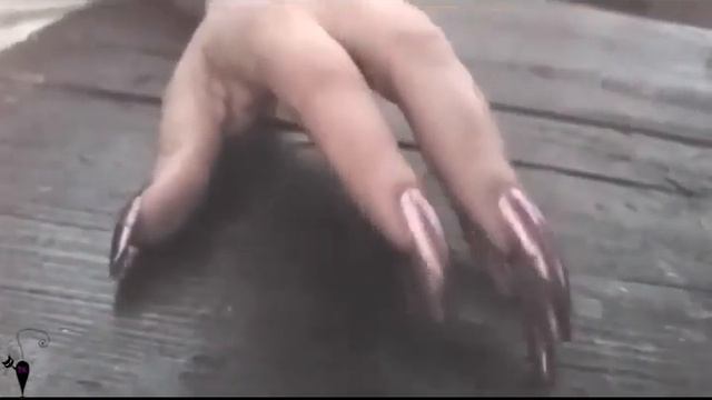 Black-Kitty Tapping Her Long Nails On Table (video 35)