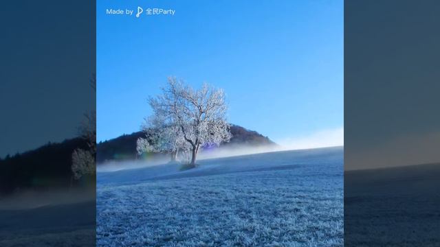 花房姑娘 Greenhouse Girl (cover 程璧/崔健) смотреть онлайн