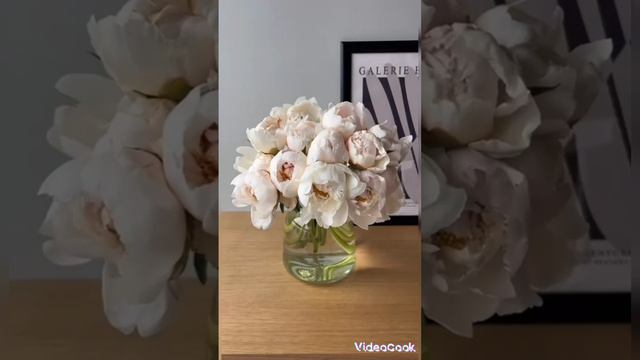 чайки за кормой смотреть онлайн