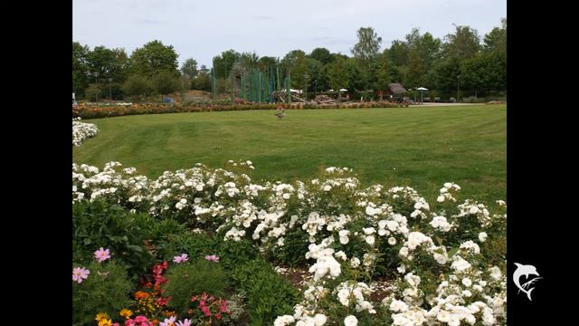 Alexander Klaws смотреть онлайн