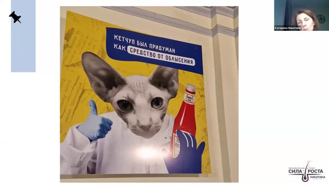 Трихология и нутрициология смотреть онлайн