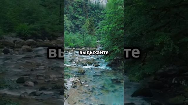 Спокойствие,только спокойствие. смотреть онлайн