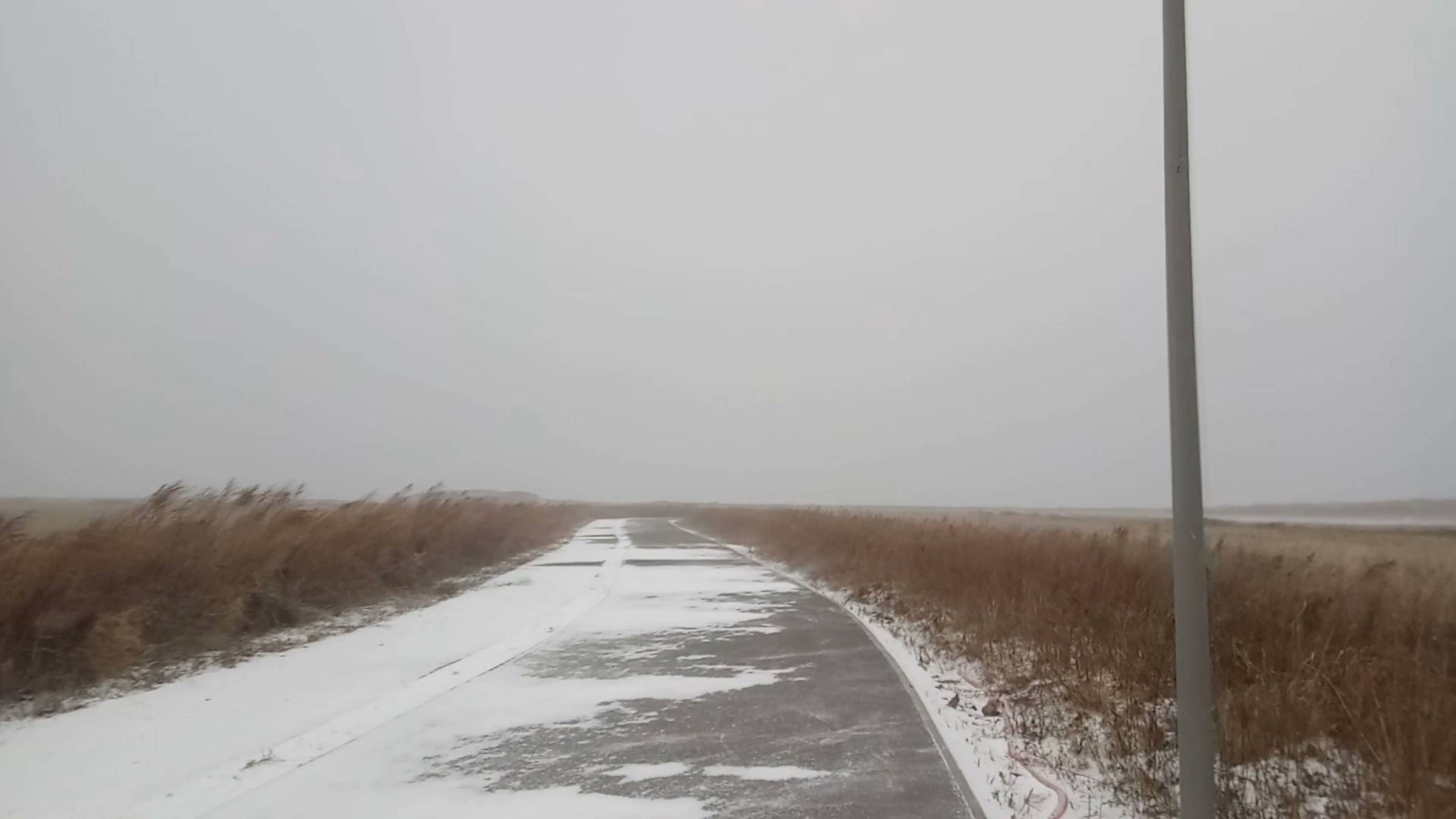 Zakk Wylde - Farewell Ballad