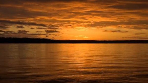 Шуберт - Вечерняя серенада. Пан-флейта: Edward Simoni