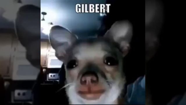 Gilbert 4 minutes and 12 seconds смотреть онлайн