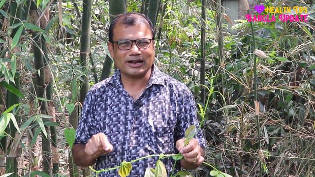 কুমারী লতার ডগা খেলে কি হয়, জেনে নিন ? কুমারী লতা গাছের উপকারিতা | Kumari Lata Gunagun