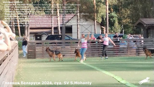 Молодые кобели / ПК БОРИСОВ (BY) сб 14 сен`24 (S.Mohanty) 150 собак