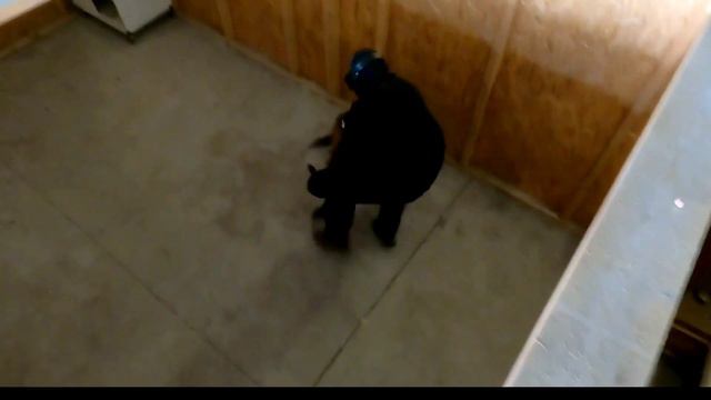Vaja specialne enote policije II смотреть онлайн