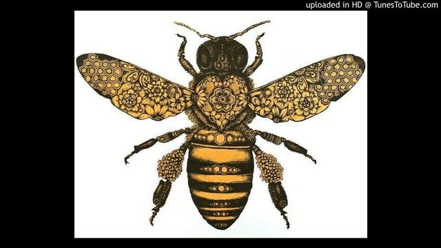 el Boogie - Eurekaa смотреть онлайн