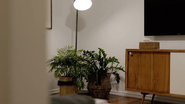 11 Pettigrew Street Mount Gravatt East смотреть онлайн
