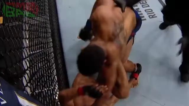 Бой Kevin Lee vs Edson Barboza /Бой Эдсон Барбоза - Кевин Лии смотреть онлайн
