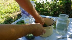 Делаю малосольные огурцы с хреном и чесноком только так! Дедовский рецепт! Пальчики оближешь!