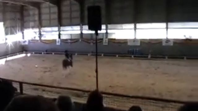 2009 QLD FOD Clydesdale Display A Barton смотреть онлайн