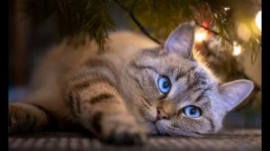 Новый год 2021.(Владимир Цветаев).(2020).