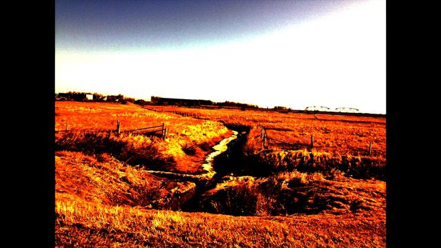 Vistas for Temple Grandin — Harris McSheffery — Altered Tuning Challenge #20 смотреть онлайн