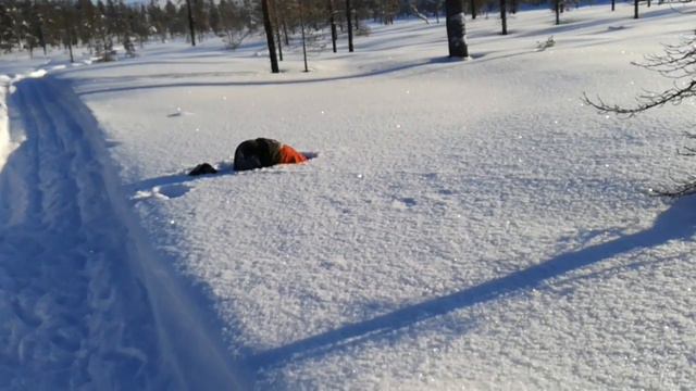 LAPONSKO 2018 - Urho Kekkonen смотреть онлайн