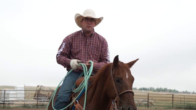 Kirby Blankenship: Patience in a Heel Horse смотреть онлайн