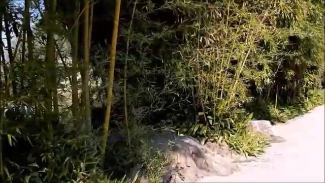 GIARDINI DI VILLA MELZI -BELLAGIO ITALY смотреть онлайн