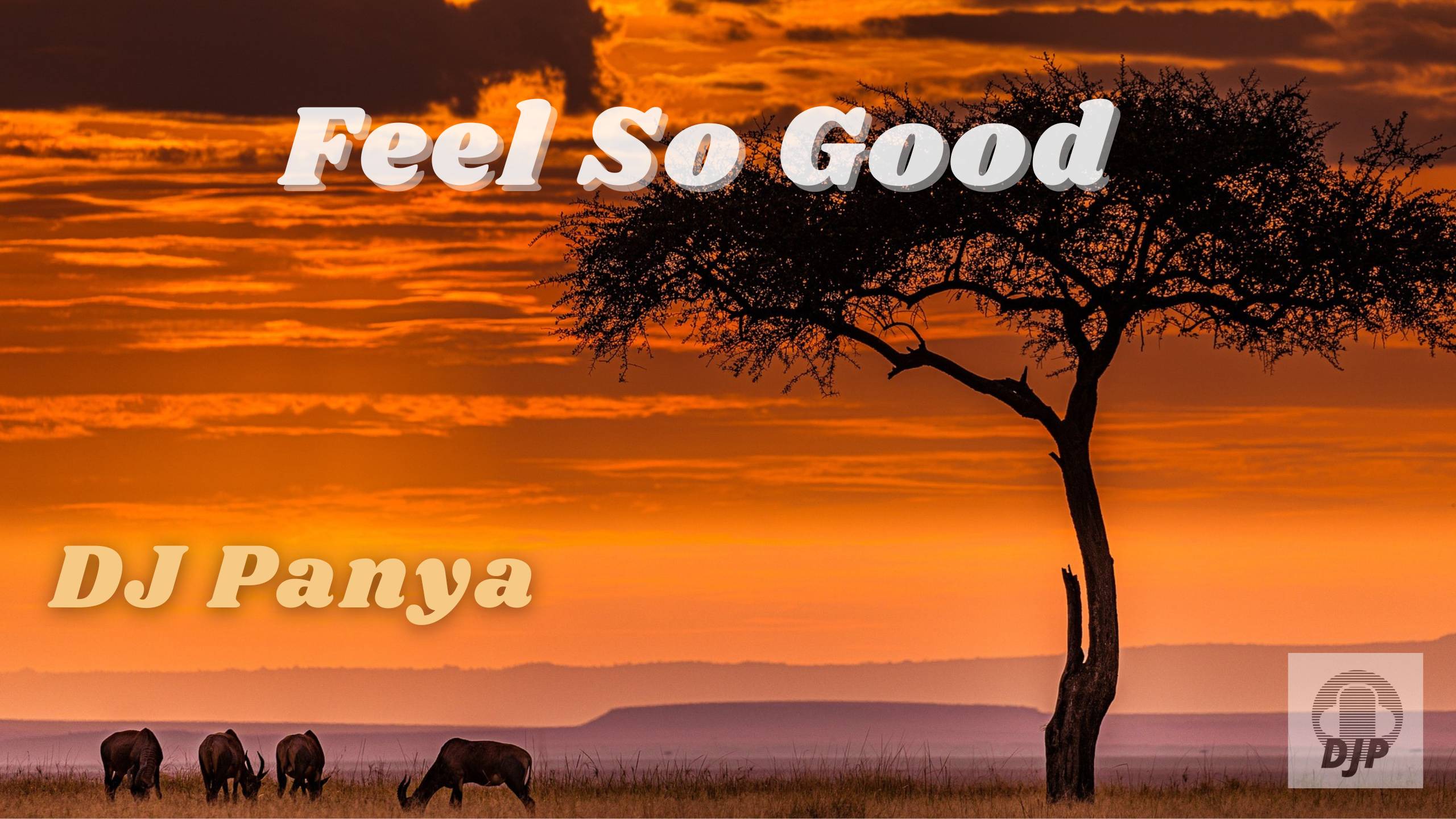 DJ Panya - Feel So Good