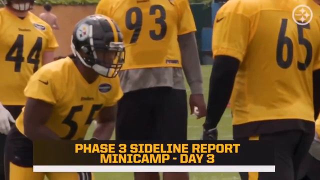 Missi Matthews and Bob Labriola talk Pittsburgh Steelers LB Devin Bush II at Day 3 of Mini Camp смотреть онлайн