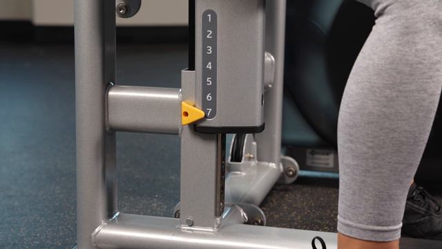 Пресс сидя HOIST CL-3601 смотреть онлайн