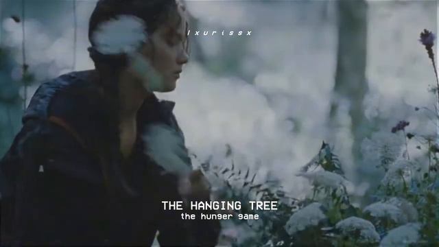 The Hunger Games (tribute/soundtrack), Jennifer Lawrence - The Hanging Tree | 𝙨𝙡𝙤𝙬𝙚𝙙 + 𝙧𝙚𝙫𝙚𝙧𝙗