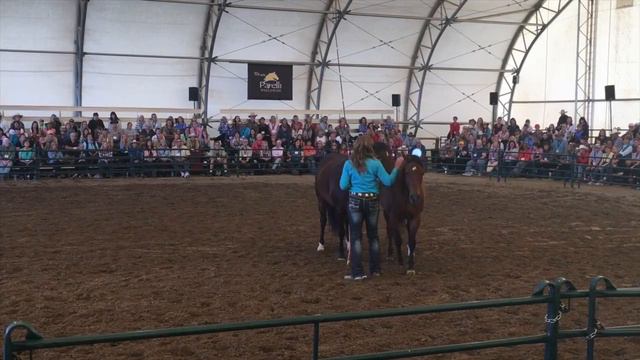 2016 Parelli Summit смотреть онлайн