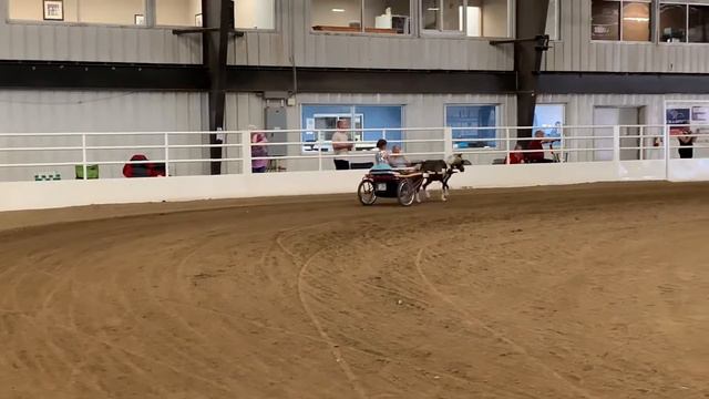 Morgan and daddy’s Eastern Regional 2020 смотреть онлайн