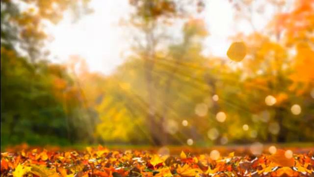 ОЙ ЖАЛЬ МЕНИ смотреть онлайн