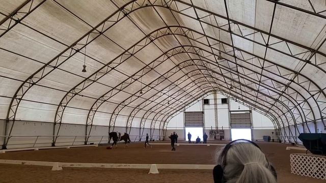 Meagan - Silver Medal Test Equestrian Vaulting смотреть онлайн