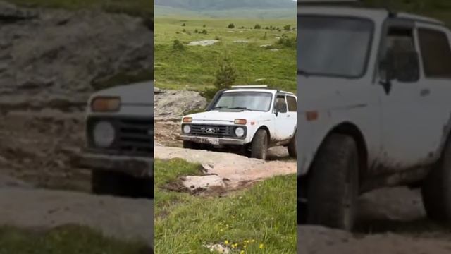 Самый модный авто смотреть онлайн