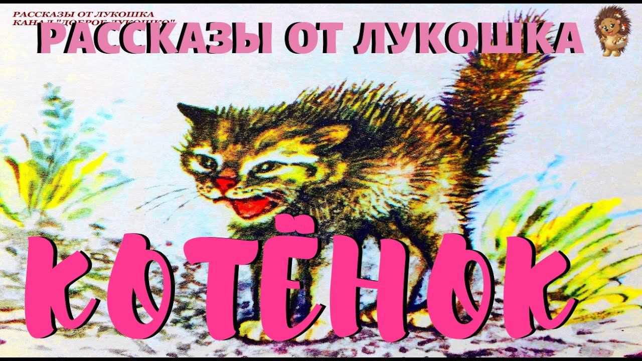 Котенок — Рассказ | Лев Толстой | Аудио рассказ | Рассказы Льва Толстого | Детские рассказы смотреть онлайн