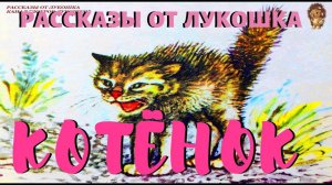 Котенок — Рассказ | Лев Толстой | Аудио рассказ | Рассказы Льва Толстого | Детские рассказы