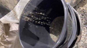 Видео 3 Гранулятор Комбикорма Из МясоРубки 220 в Мощность 1,6 кВт Производительность 30 кг в час