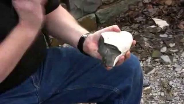 Stone Age Institute смотреть онлайн
