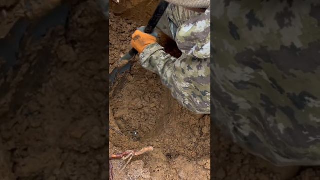 Что, там у Лехи ? смотреть онлайн