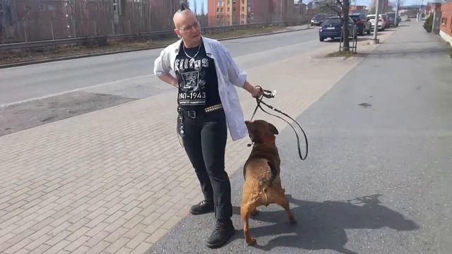 Kuntavaaliehdokas Tampere Sanna Piipponen kuntavaalihaastattelu 4.5.2021 kuvaus Lehto Seppo смотреть онлайн