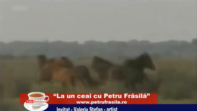 La Un Ceai Cu Petru Frasila Si Valeriu Stefan 09 Iunie 2014