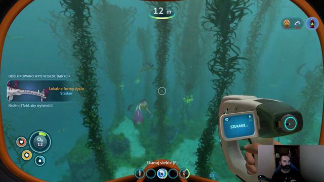 SUBNAUTICA #2/ GAMEPLAY PL / DRAPIEŻNA FAUNA смотреть онлайн